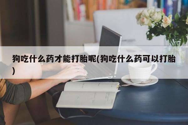 堕胎药购买方式狗吃什么药才能打胎呢(狗吃什么药可以打胎)