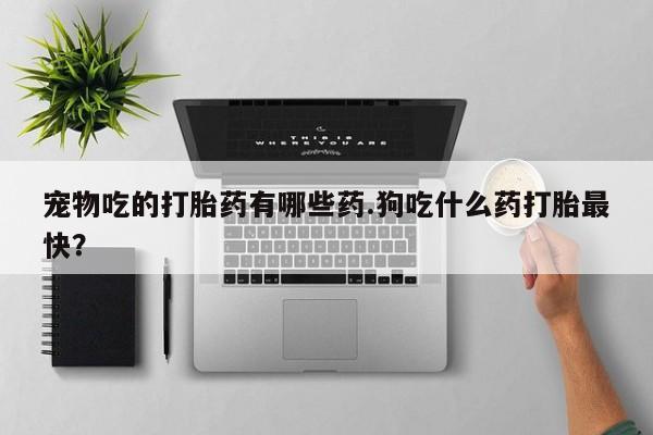 堕胎药购买方式宠物吃的打胎药有哪些药.狗吃什么药打胎最快？